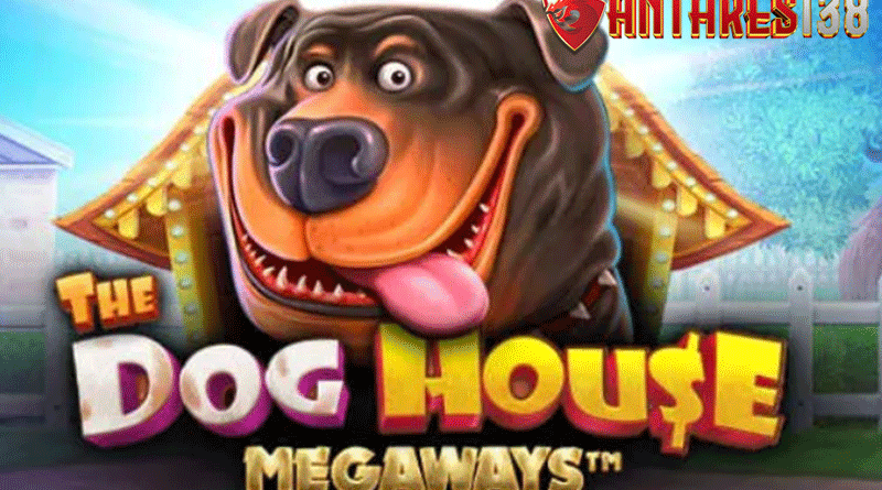 Tips agar capai kemenangan di Game The Dog House® Megaways